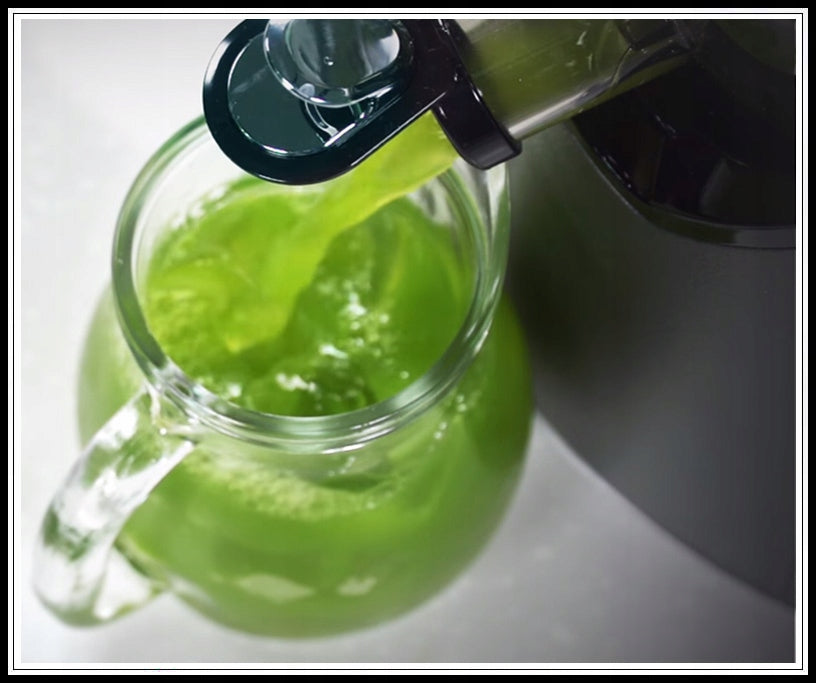Kuvings D9900 Juicer Manufacturer code NS-726S