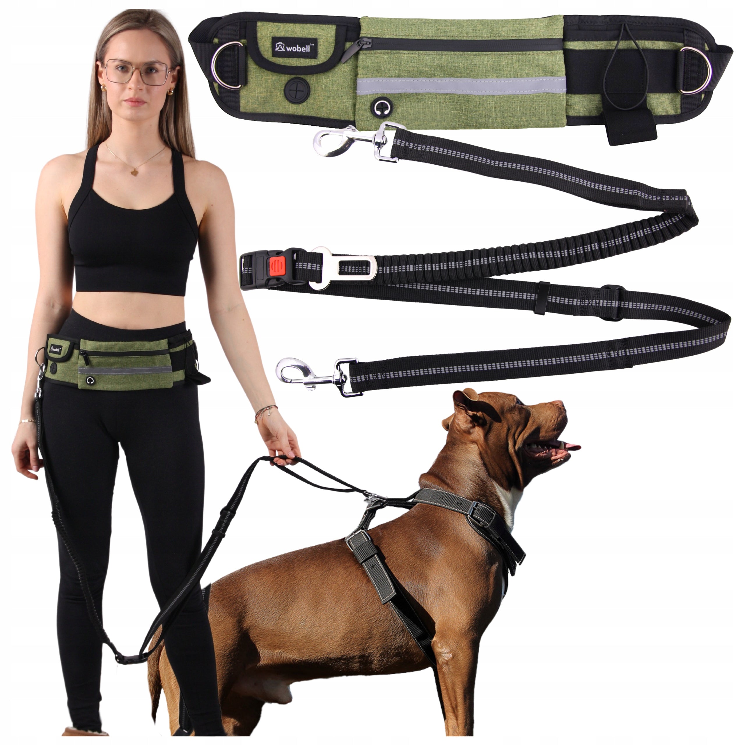 LANYARD HIP BELT KIDNEY for Dog SPORTS ADJUSTABLE SHOCK ABSORBER STRONG 50kg Packaging status original