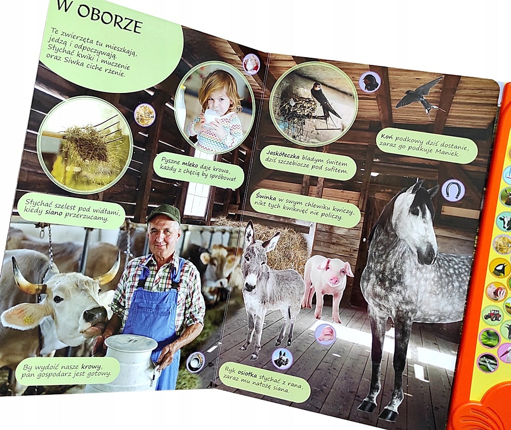 LARGE BOOK FOLD-OUT INTERACTIVE ANIMALS VILLAGE 50 SOUNDS Brand no brand