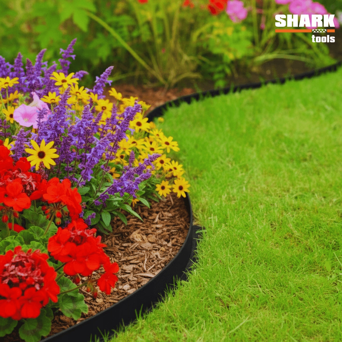 LAWN GARDEN EDGING 20m x 6cm Flexible + BLACK PLASTIC ANCHORS Color black