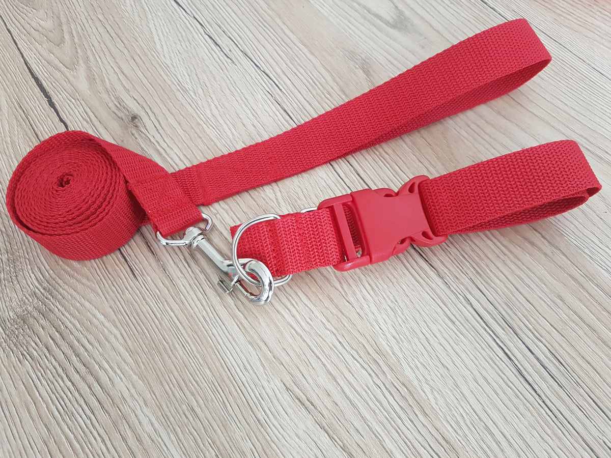 LEASH 2M + DOG COLLAR SET OF DIFFERENT COLORS EAN (GTIN) 5903855753990