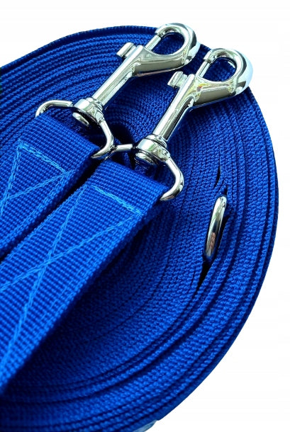 LEASH ADJUSTABLE FOR MEDIUM DOG STRONG CARABINERS TAPE 10M CORNFLOWER Manufacturer code 1010