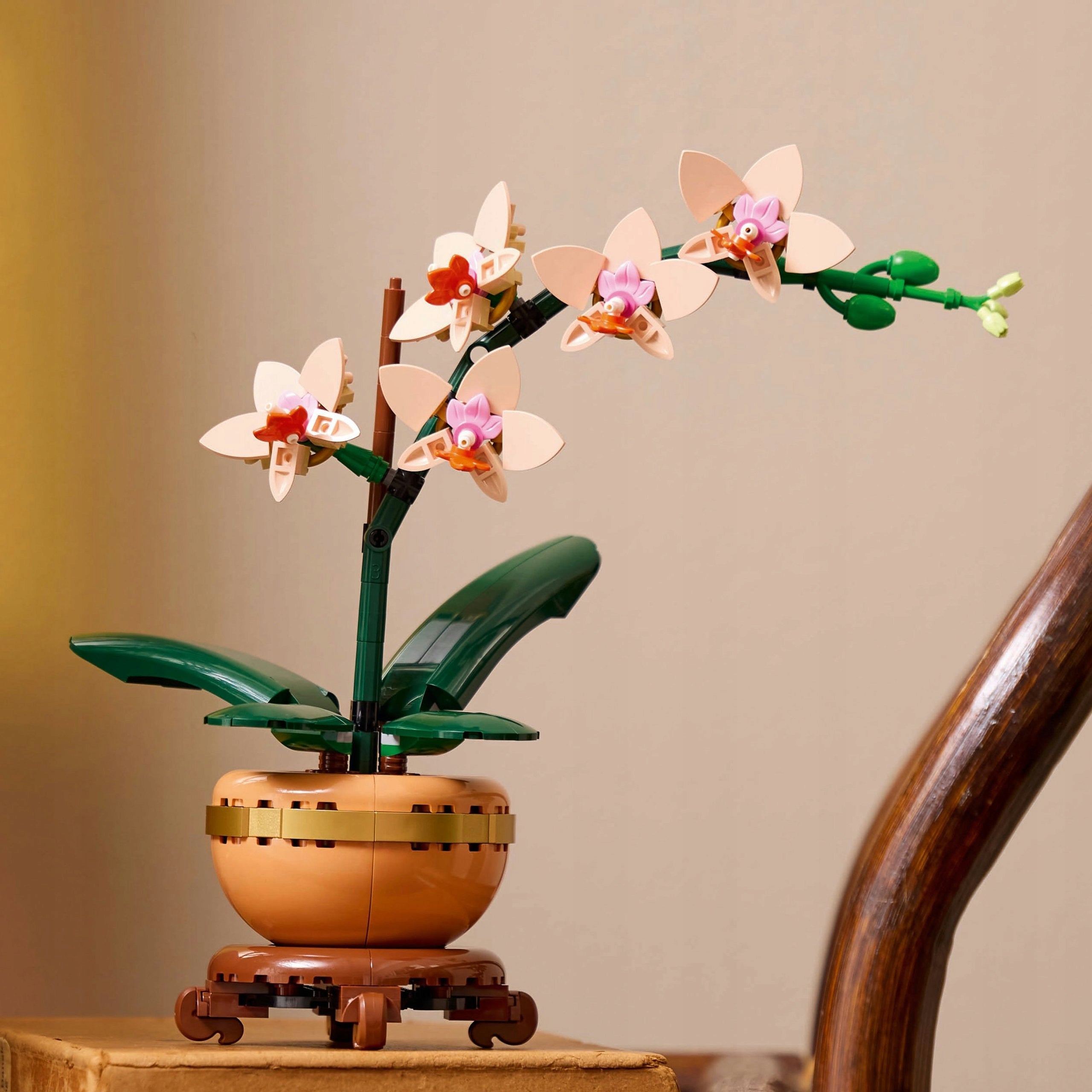 LEGO Botanicals 10343 Miniature Orchid Gender girls