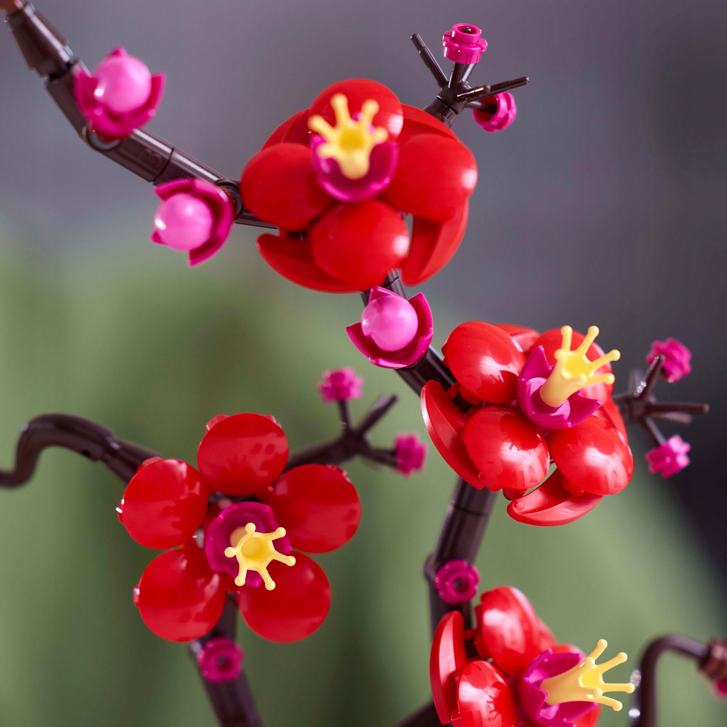LEGO Botanicals Plum flower 10369 Kid's age 18+ years