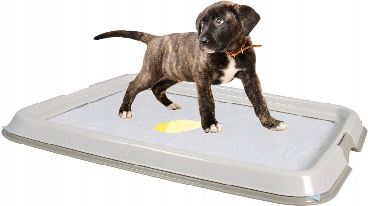 LITTER BOX PSA 49x41 cm TOILET Foundations LEARNING TO PEE PUPPIES PS 4R Packaging status original