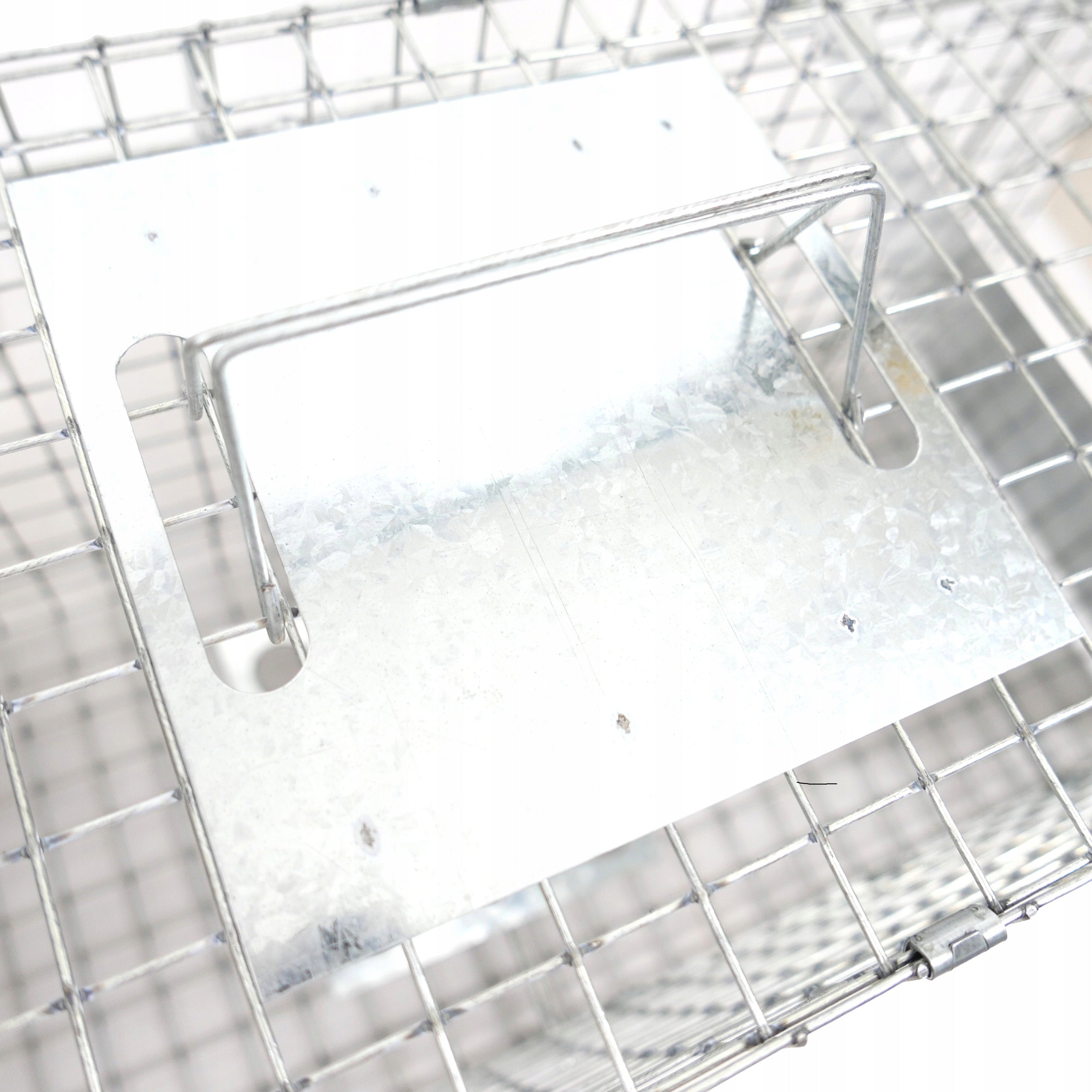 LIVETRAP TRAP FOR MARTENS RATS WEASEL MINK COWARDS GRACE PAW VIANO P1 Batteries included no