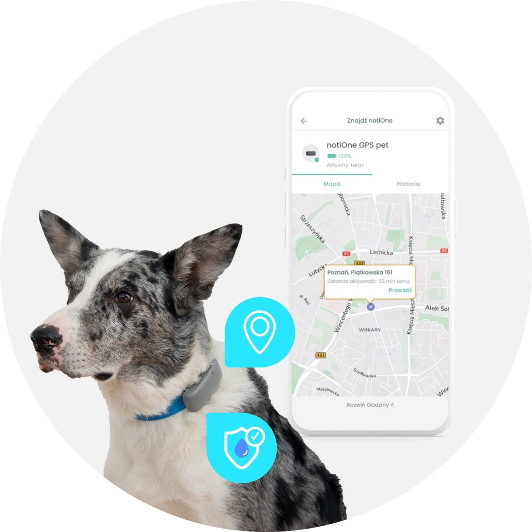 LOCATOR notiOne GPS PET BASIC WITHOUT SUBSCRIPTION FOR DOG CAT ANDROID iOS Packaging status original