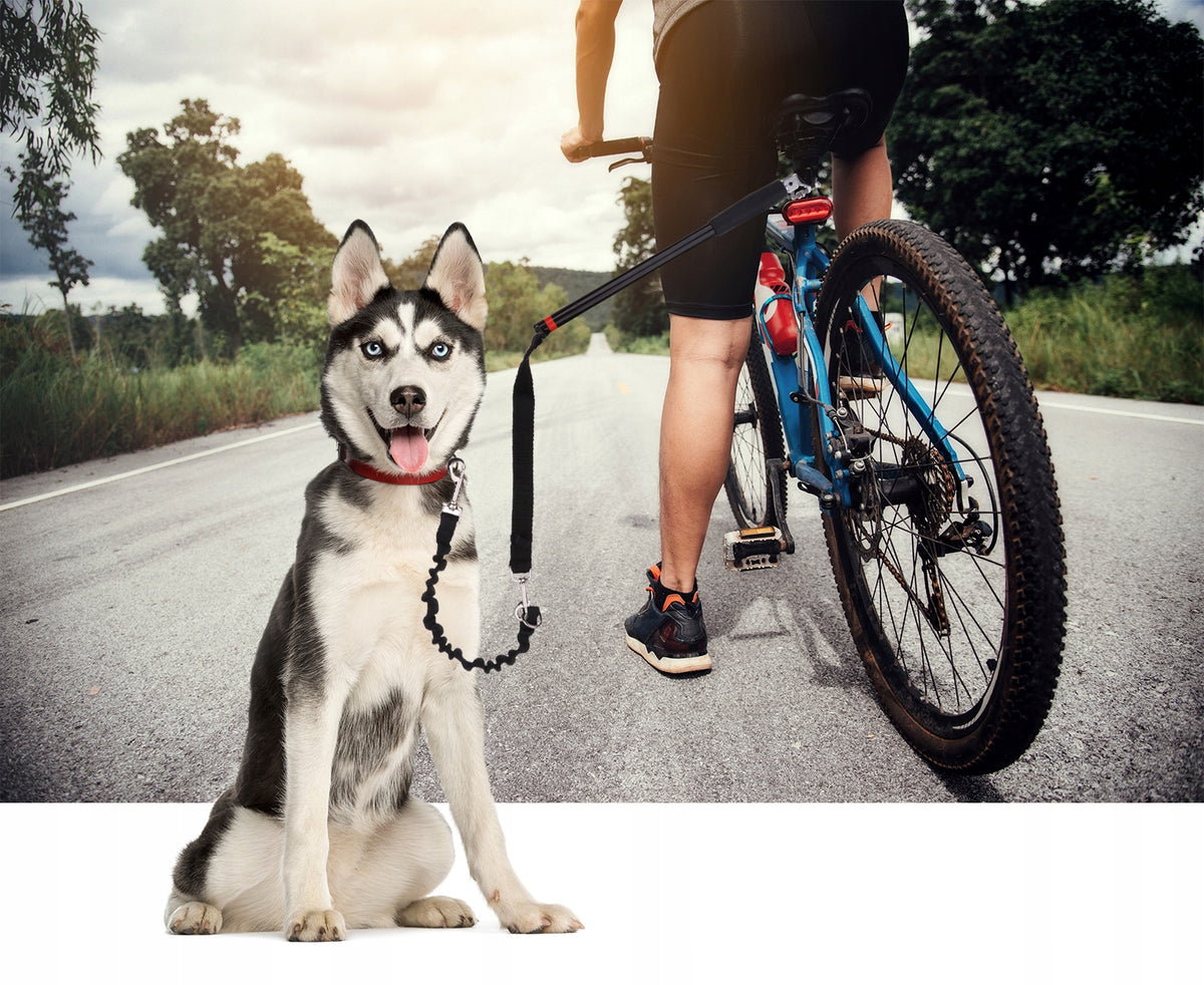 Lanyard Bar Hol Bicycle Boom For Dog Walks Bicycle Mount Strong Manufacturer code Smycz