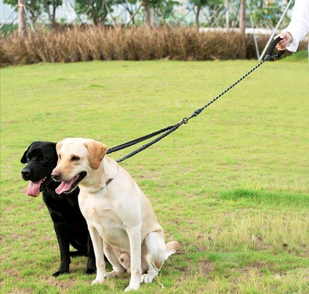 Lanyard for 2 dogs with shock absorption splitter adjustable strong 250 cm Manufacturer code 5907346935827