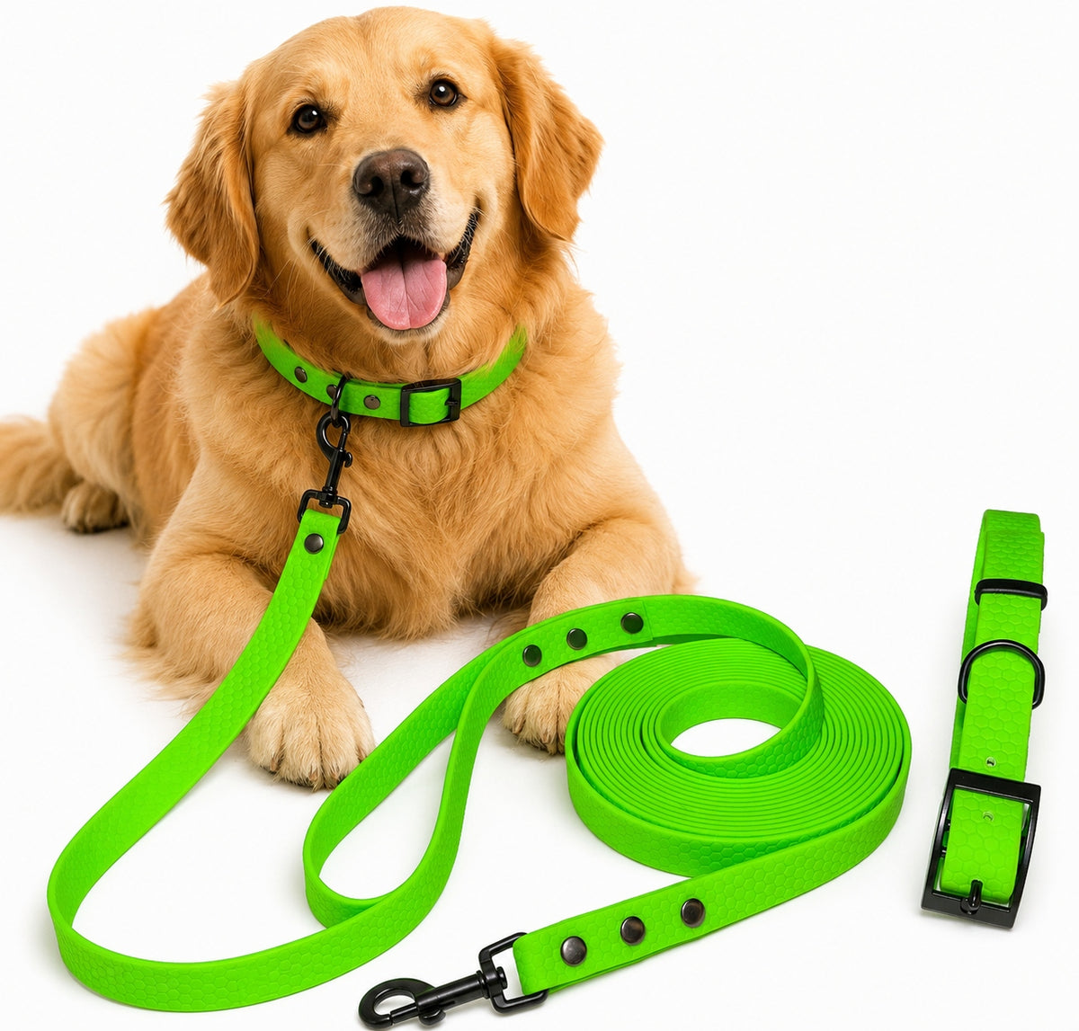 Lanyard for Dog Biothane 20 mm set + Dog collar. Size from S to XL Packaging status original