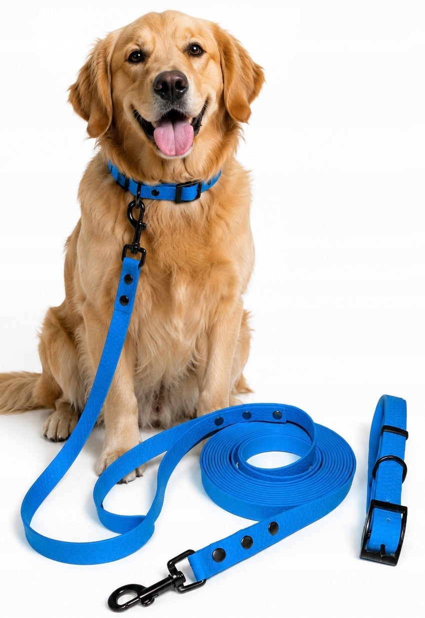 Lanyard for Dog Biothane 20 mm set + Dog collar. Size from S to XL