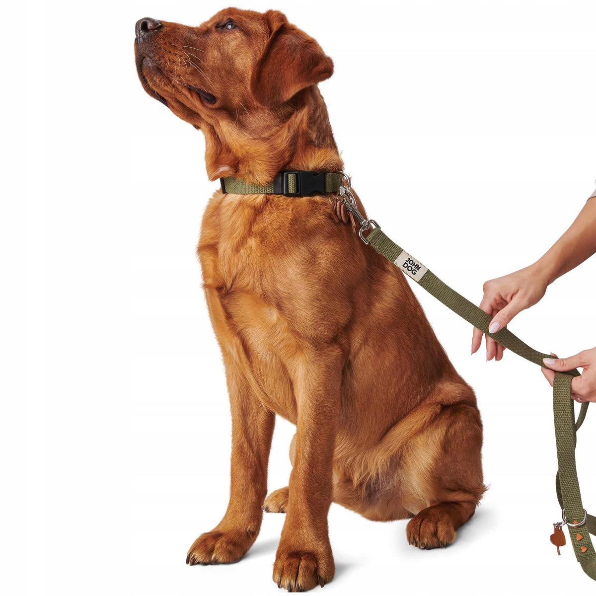 Lanyard for dog John Dog Manifest olive 2,5cm