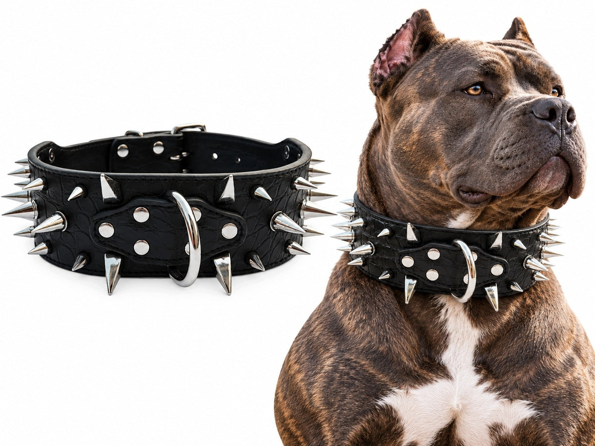 Large Dog Wide Leather Collar Massive with Decorative Spikes L
