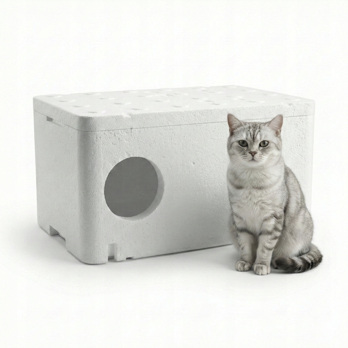 Large Spring House Styrofoam Cat Booth Box 60x40x30cm DB