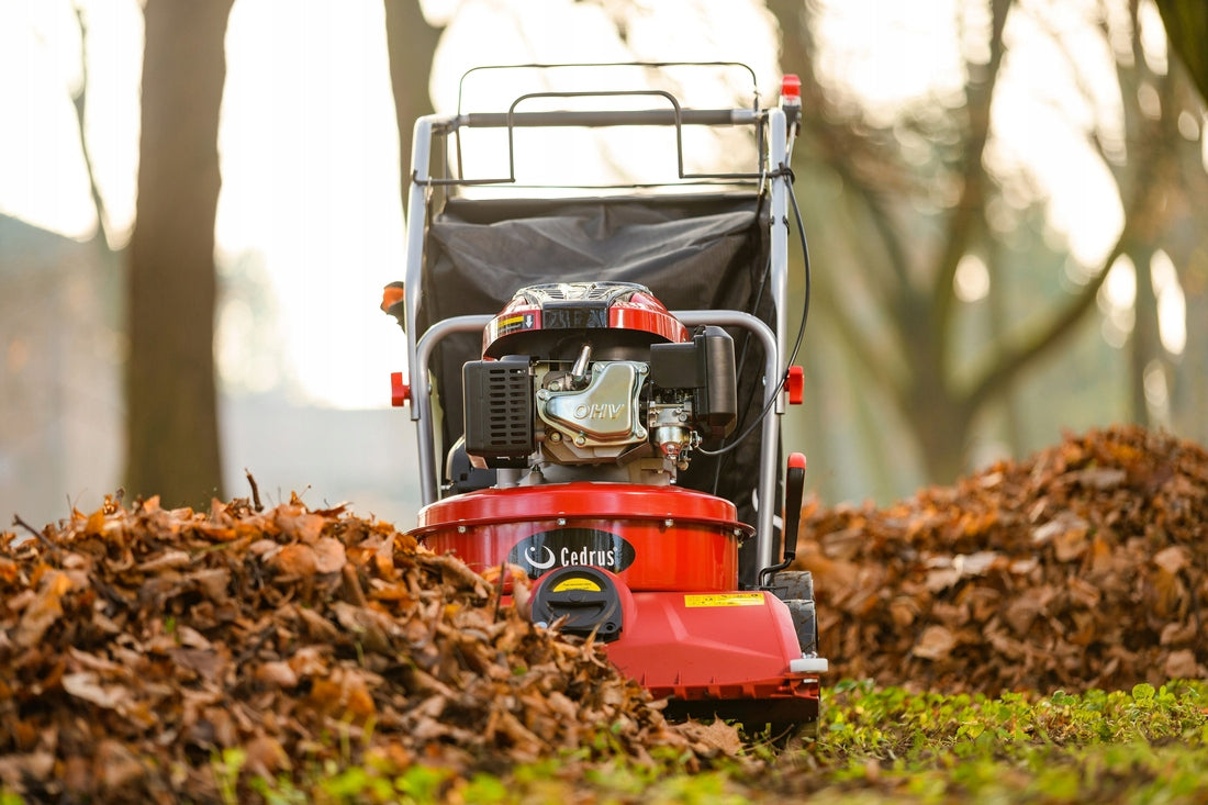 Leaf Vacuum Cleaner CEDRUS LV58S Drive Roller Aeration Sweeping 26 m/s 4in1 Packaging status original