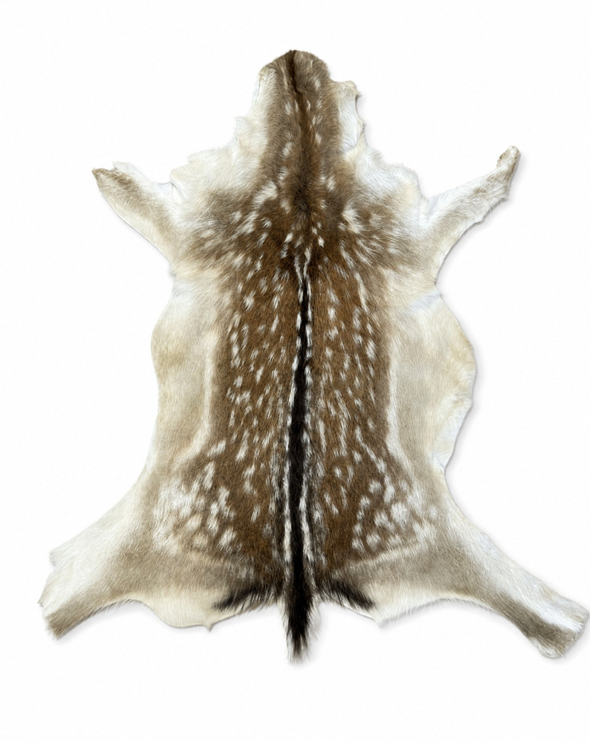 Leather from Daniel "Bambi" - Red - 100cm - 100% Natural!
