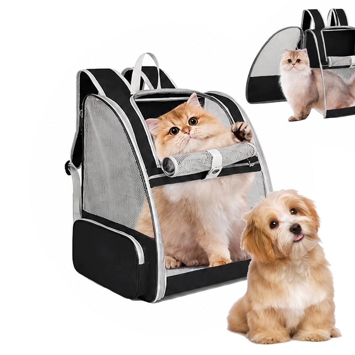 Lightweight backpack for dogs, transporter for cats up to 9 kg