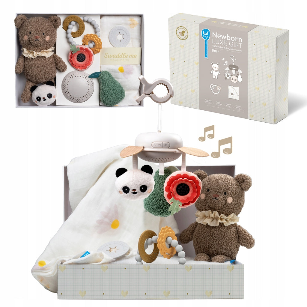 Luxury set for newborn TAF TOYS 13515