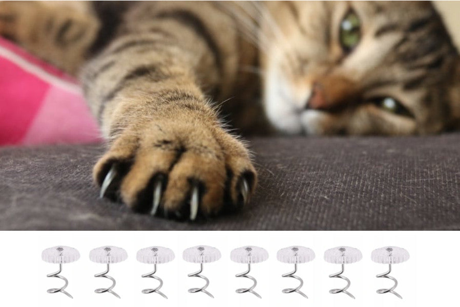 MAX PROTECTIVE FILM AGAINST SCRATCHING SCRATCHER 140x60 Self-adhesive Thickest! Brand Clean Protect
