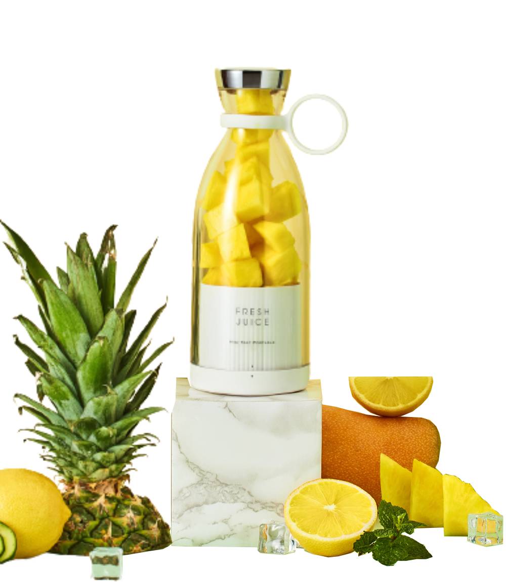 MINI BLENDER PORTABLE JUICER FRESH JUICE