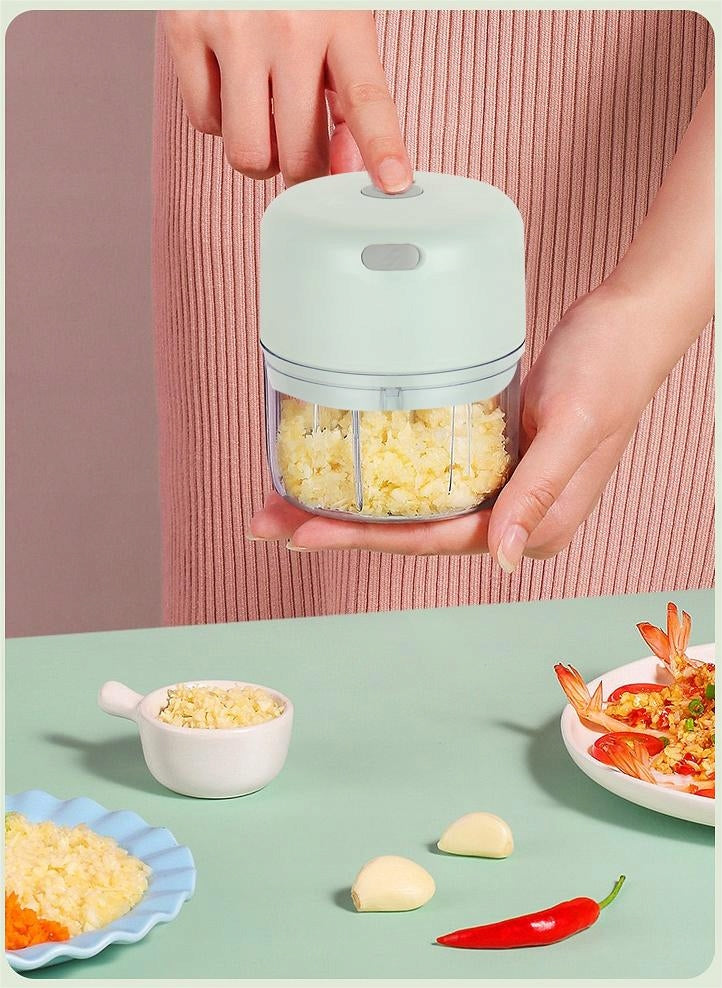 Mini Electric Garlic Shredder 250 100ML USB Dominant color green