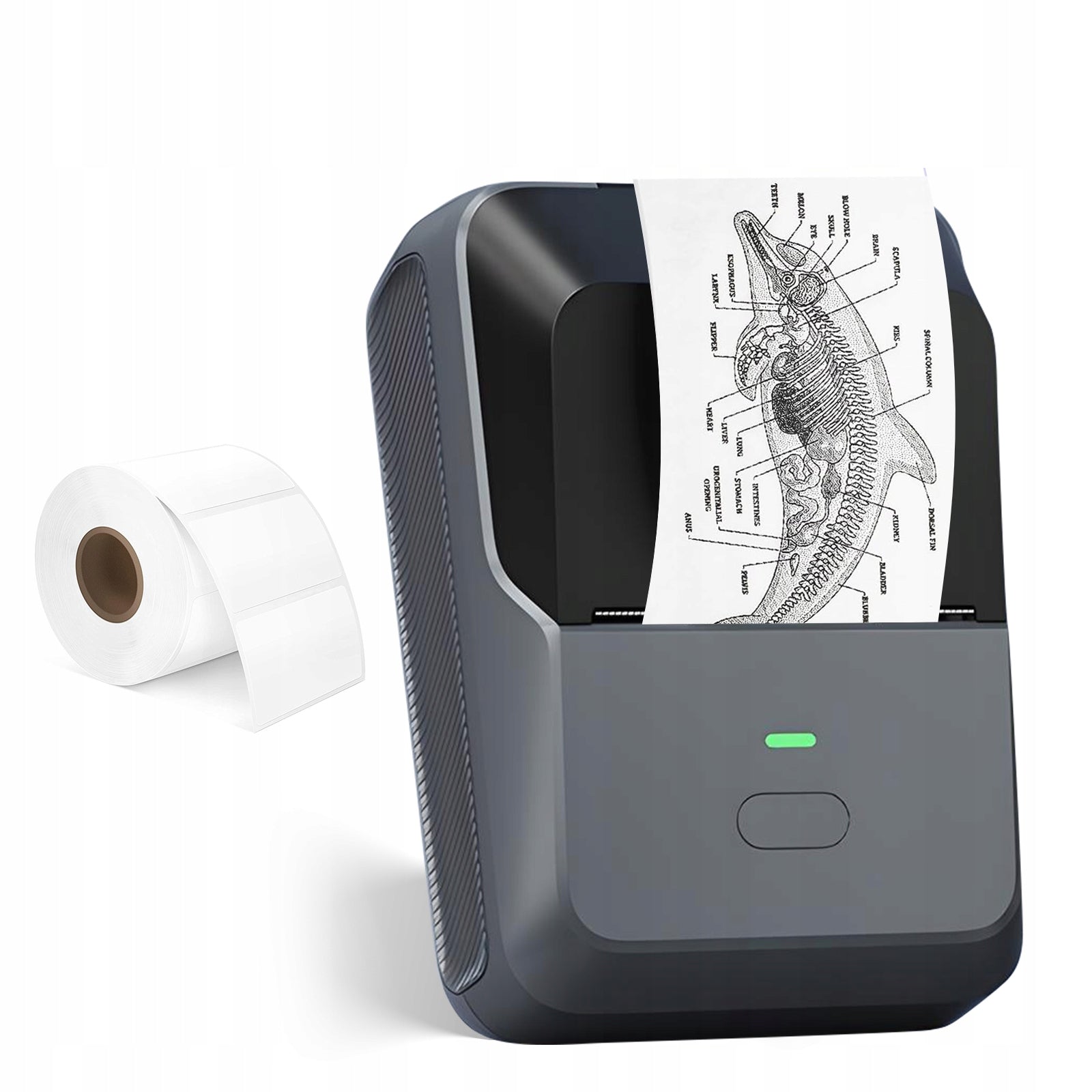 Mini Thermal Printer for Photo Sticker Labels Portable Bluetooth Type-C