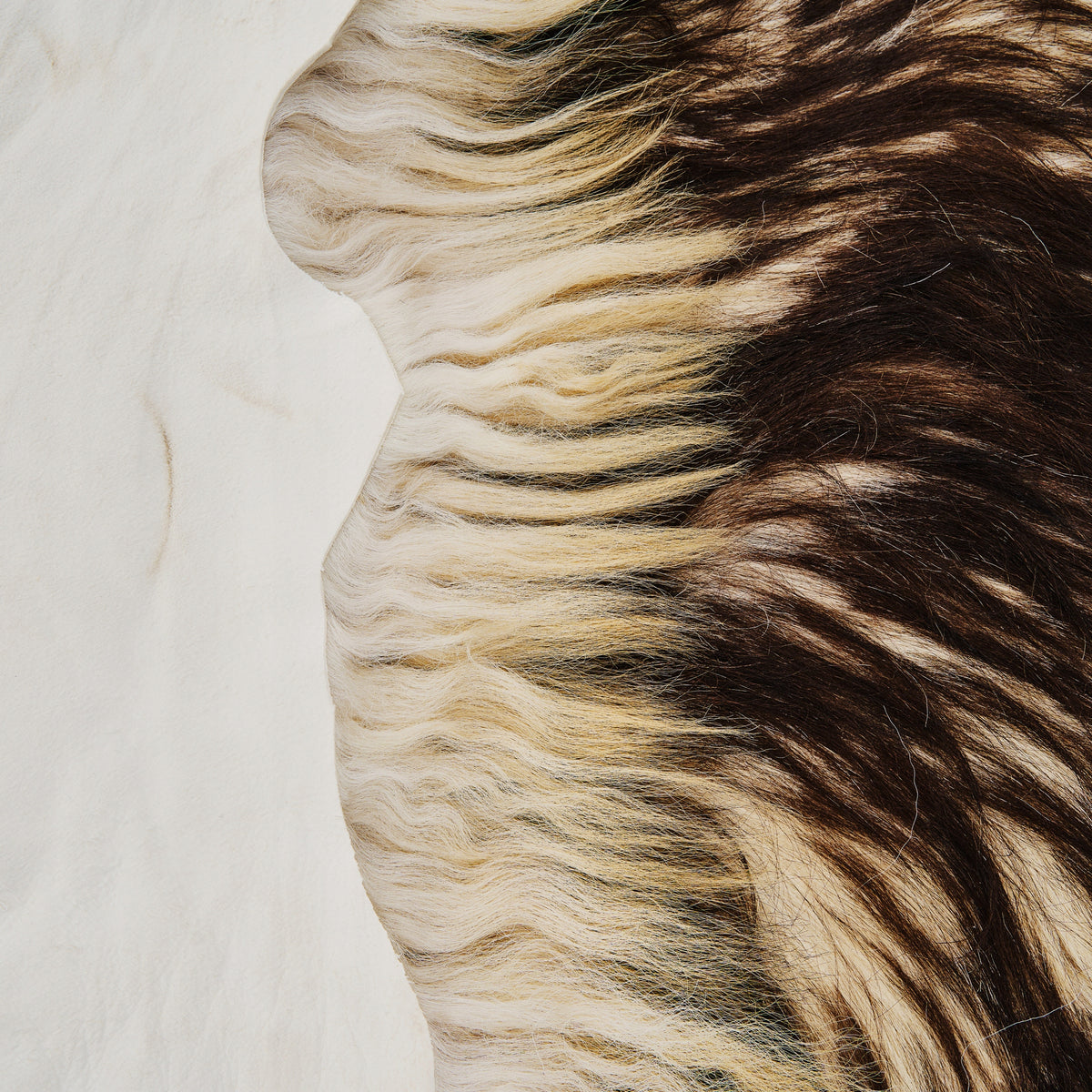 Mountain sheepskin "BLACK MUFLON" - 150cm/XXXXL(Big Mother) 100%Natural! Manufacturer code Skóra owcza górska muflon/czarny-150cm MATKA