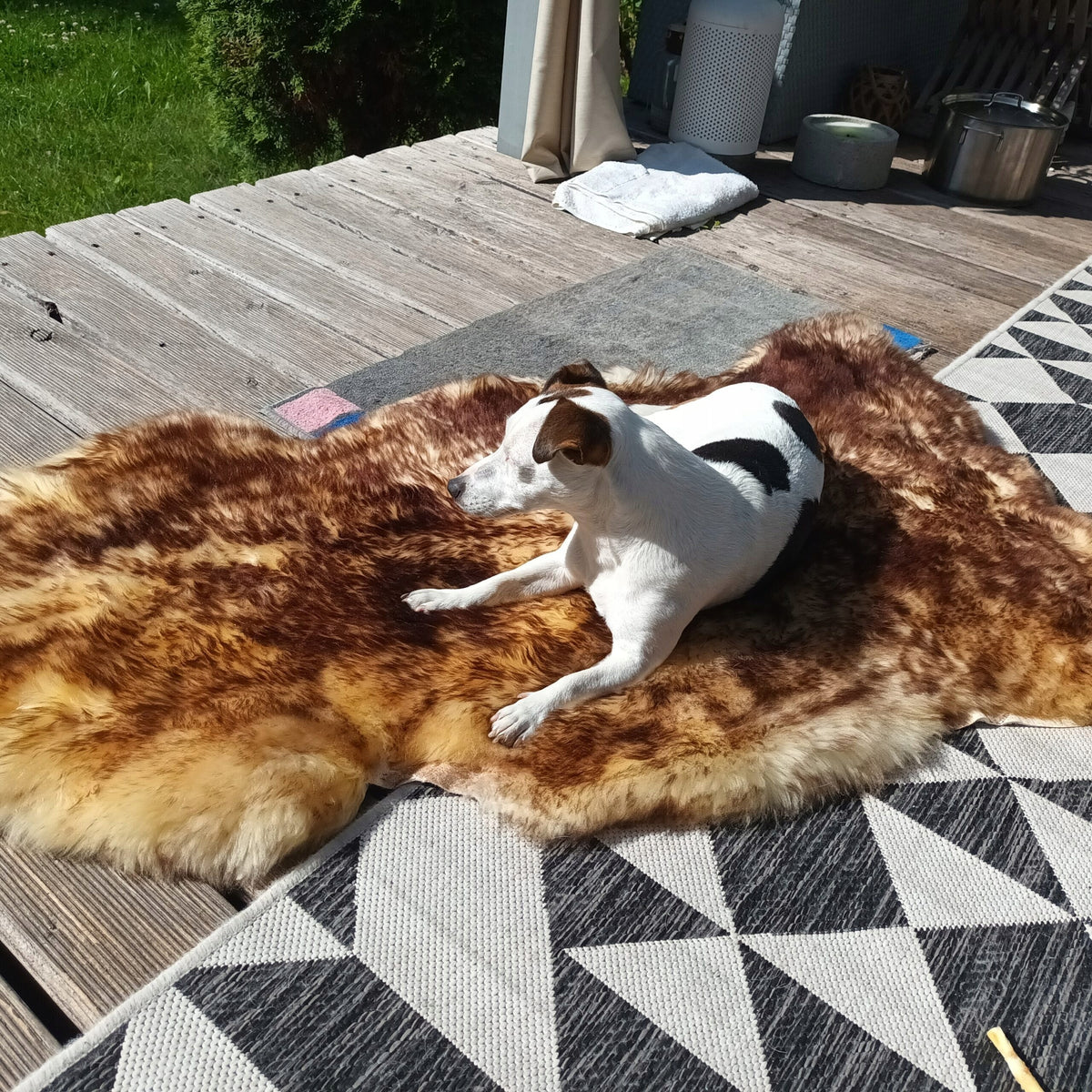 Mufflon Chestnut Burnt, Sheepskin Bedspread Rug Mini75x55 cm Packaging status original