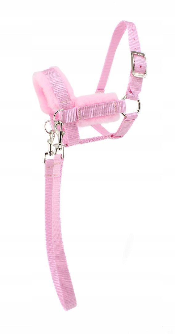 Mustang Kantar Hobby Horse lined + reins size. ( A3 ) pink