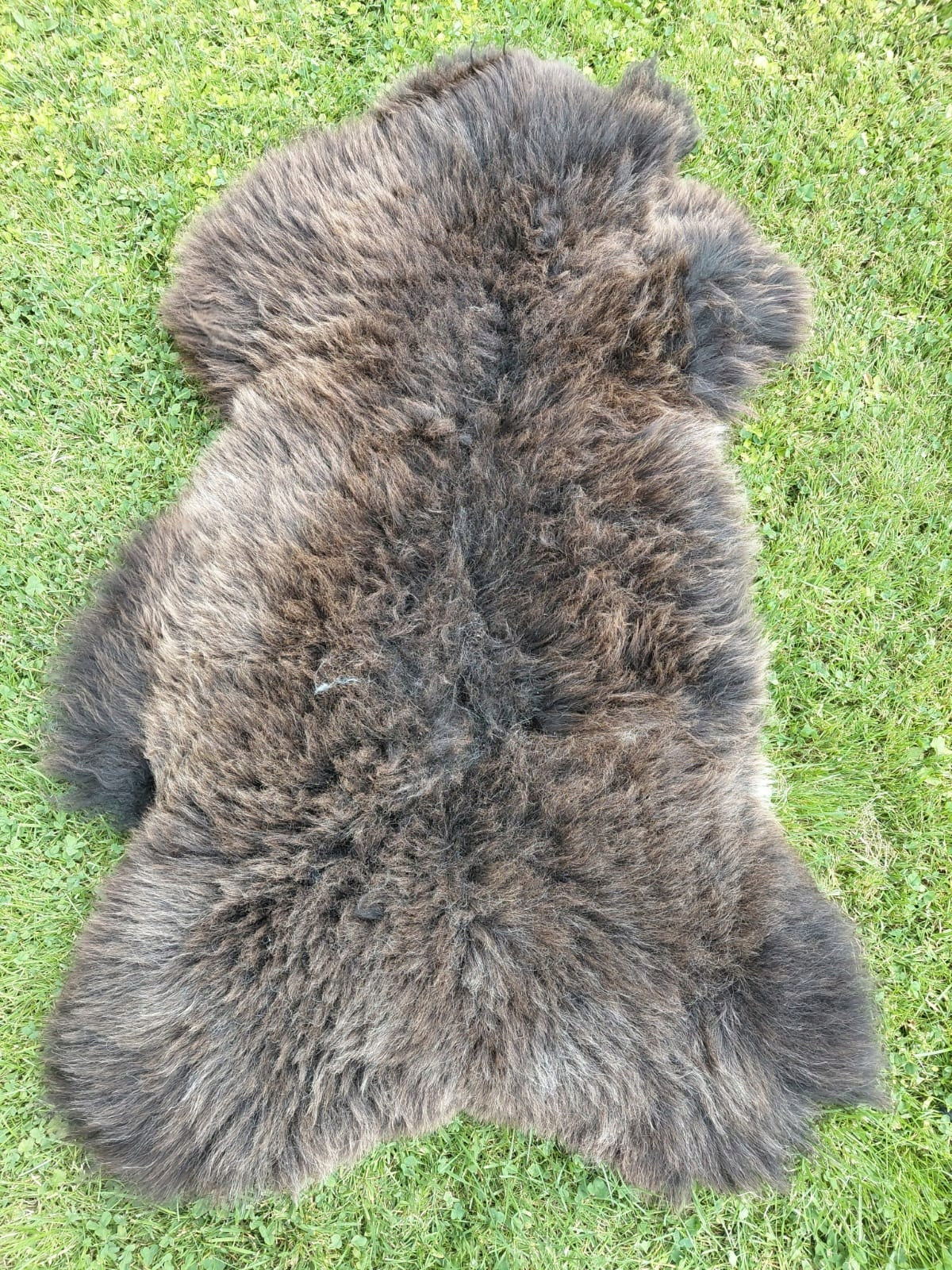 NATURAL SHEEPSKIN 2 CLASS SHEEPSKIN 2 CATEGORY Brand no brand