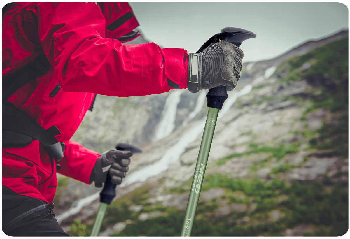 NORDIC WALKING POLES TREKKING POLES FOR WALKING IN THE MOUNTAINS 65-135cm 2pcs Manufacturer code 138101