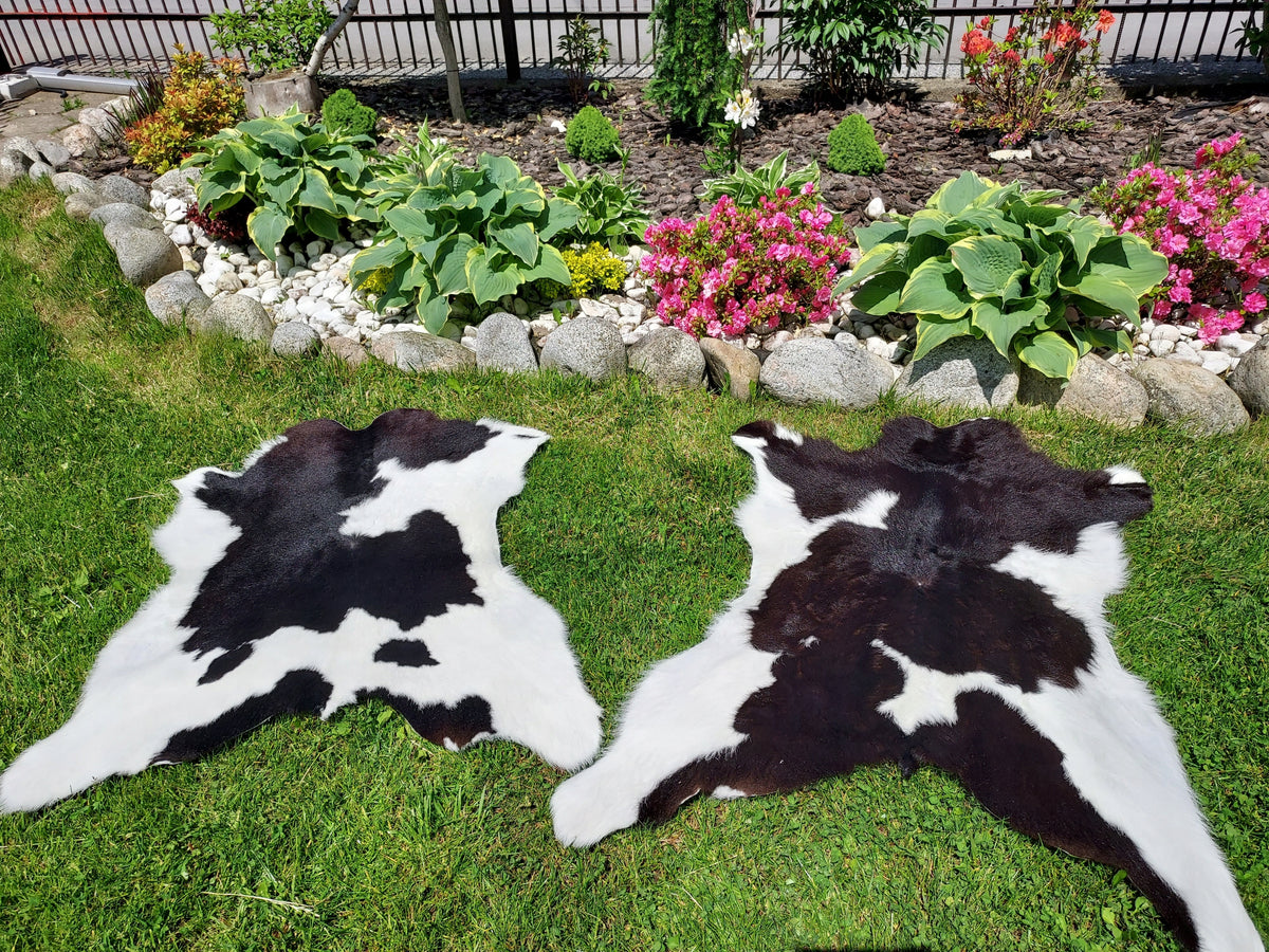 Natural Cowhide Leather with Calf Decorative Manufacturer code SK060Ca
