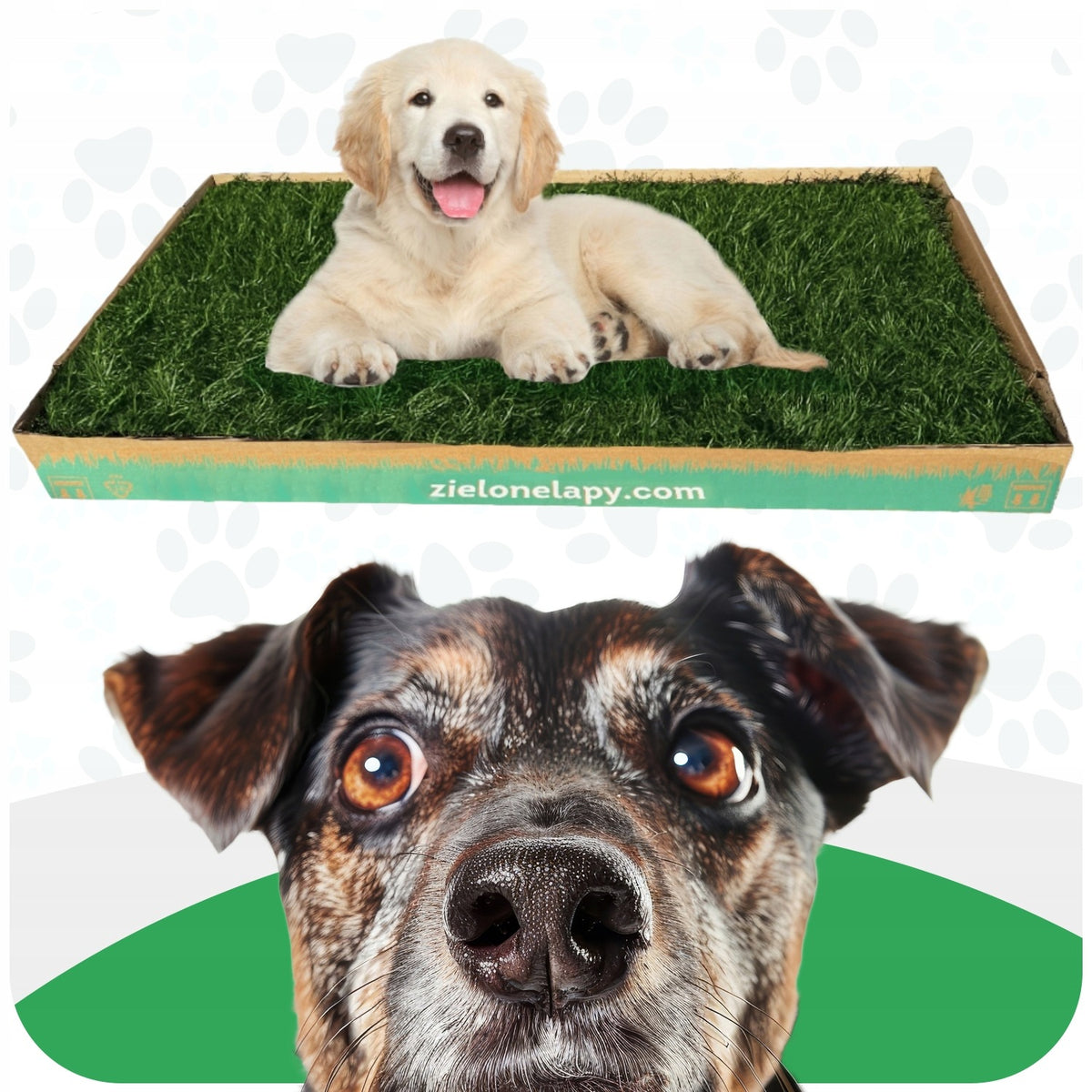 Natural Grass Cuvette 100x50 Toilet for Big Dog Puppy Manufacturer code 9658882