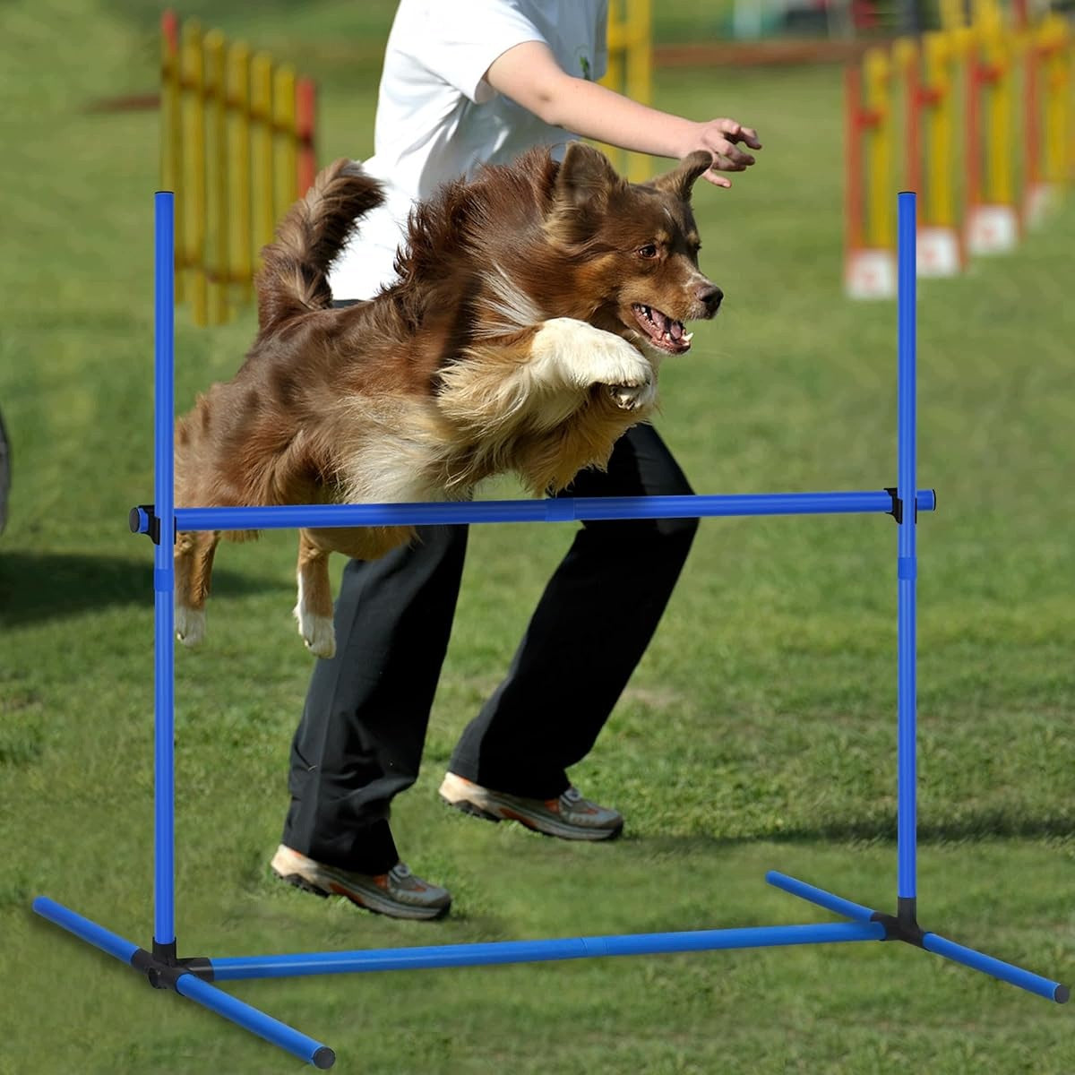 OBSTACLE COURSE HOOPERS AGILITY FOR DOG OBSTACLES SET OF 4PCS WITH BAG Manufacturer code 6PT0512BUrfhl