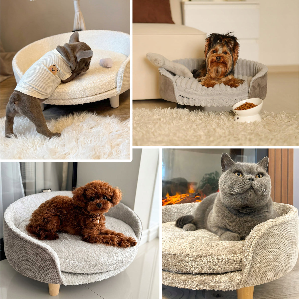 Orthopedic bed sofa couch XL for cat legs soft mat + FREEBIE Packaging status original