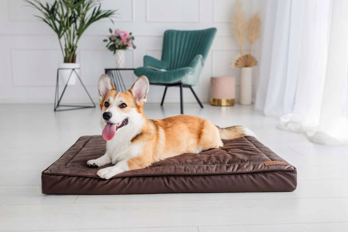 Orthopedic dog bed, mattress 100x70 EAN (GTIN) 5904422503123