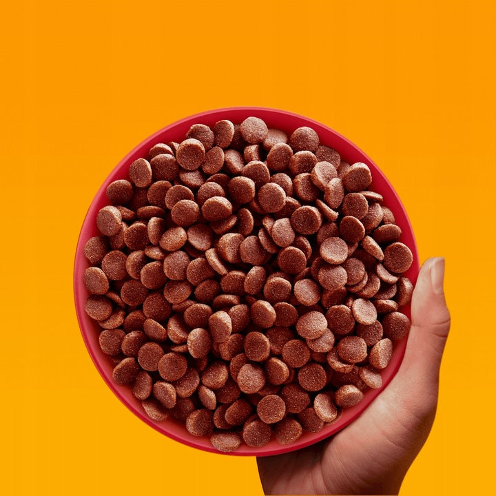 PEDIGREE DRY DOG FOOD ADULT SMALL BREEDS WITH BEEF AND VEGETABLES 12KG Manufacturer code 5998749171004