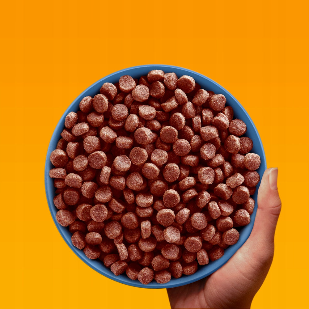 PEDIGREE Junior dry food for puppies medium large breeds beef 2,6kg Brand Pedigree