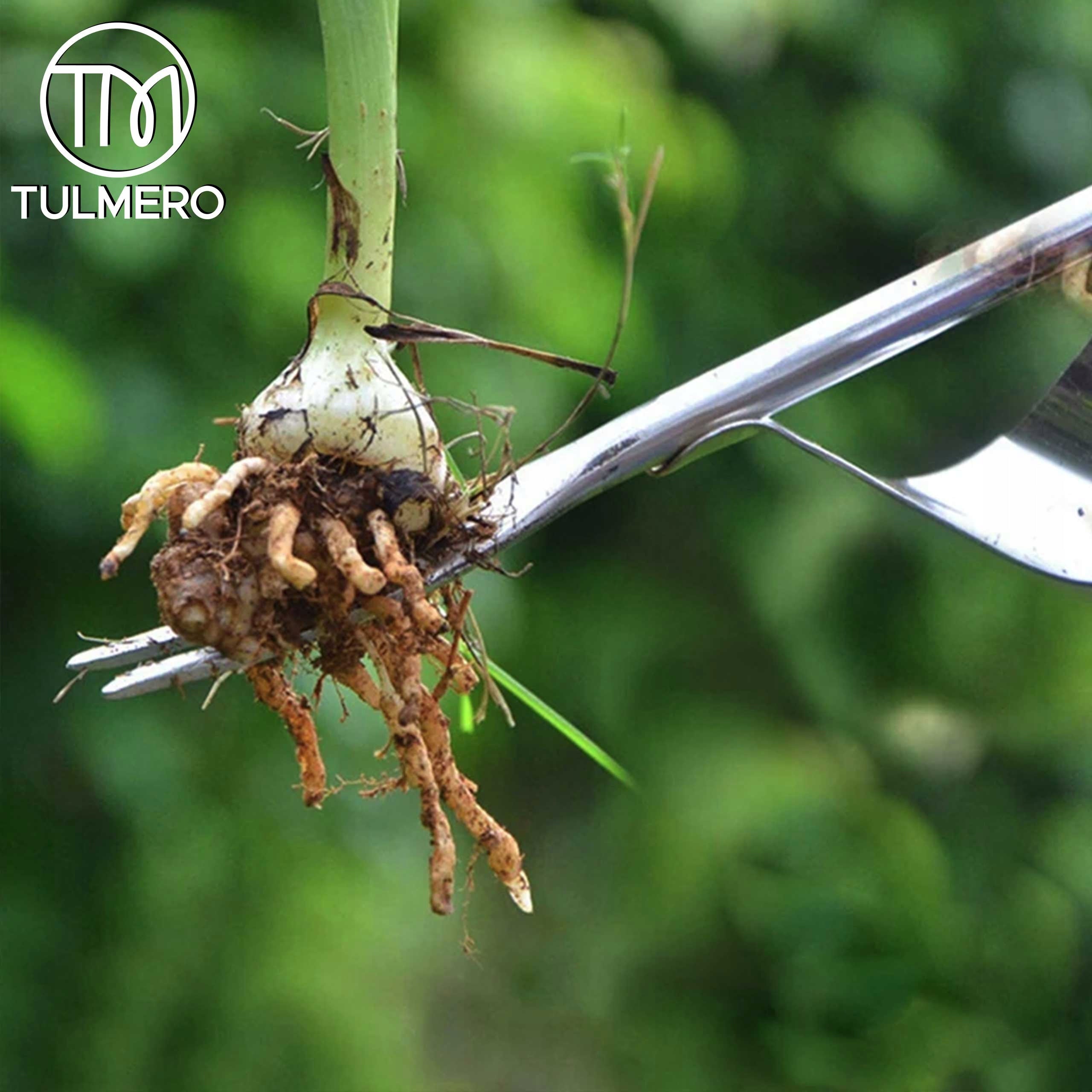 PLUCKER for REMOVING weeds of milk roots EFFECTIVE Tulmero Packaging status original