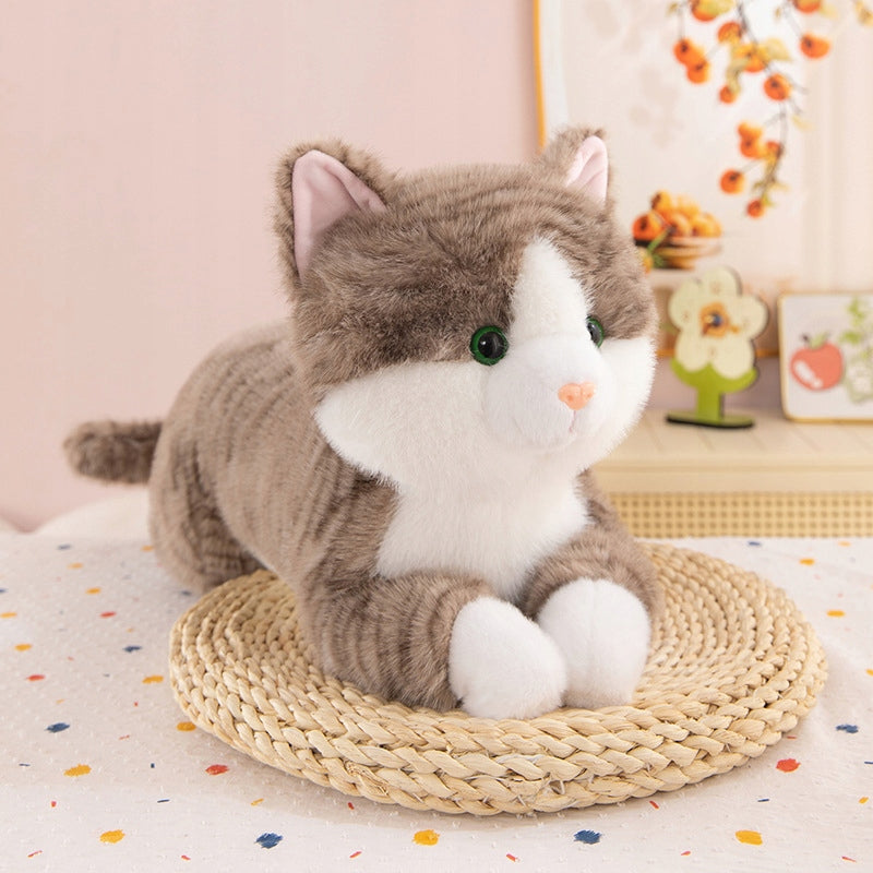 PLUSH Kitten Toy BEAR PLUSH TOY CAT Hugging 45CM Plush for Kids Packaging status original