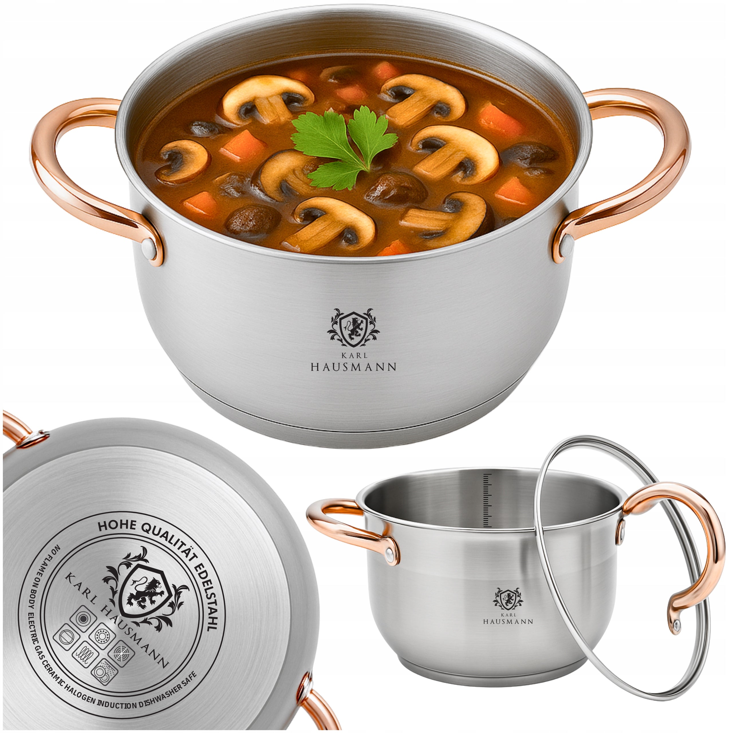 POT INDUCTION STAINLESS STEEL GAS 5L 24cm WITH LID POTS GOLD