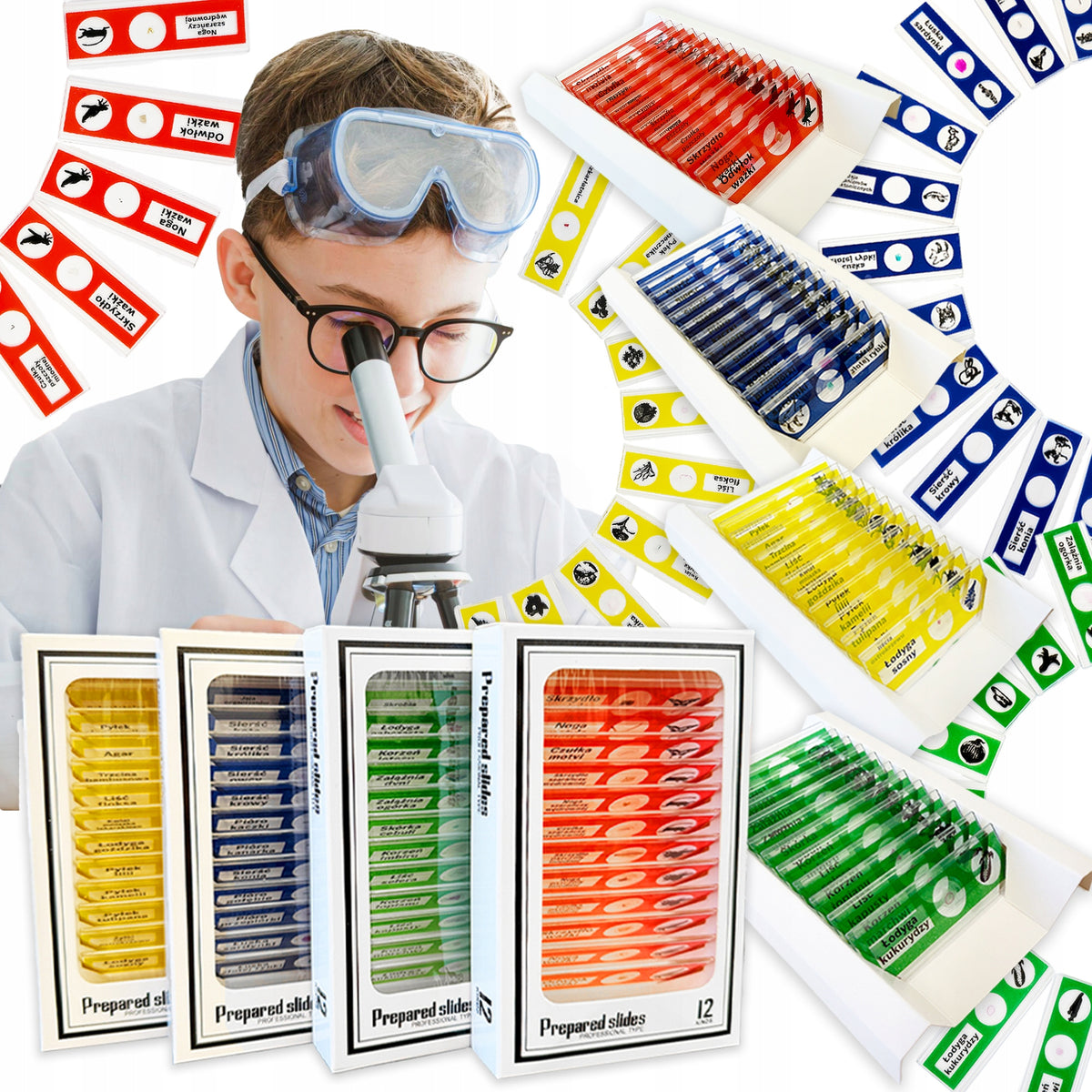 PREPARATIONS FOR MICROSCOPE EDUCATIONAL SET SAMPLE MODELS 48 PCS FOR CHILDREN Packaging status original