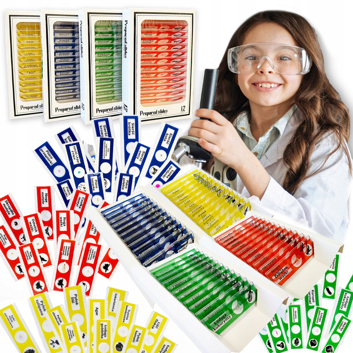 PREPARATIONS FOR MICROSCOPE EDUCATIONAL SET SAMPLE MODELS 48 PCS FOR CHILDREN