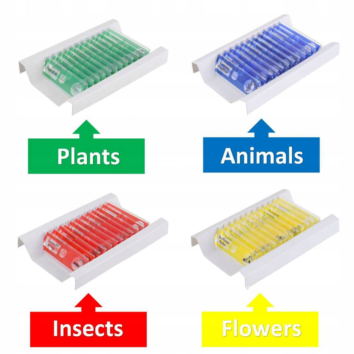 PREPARATIONS FOR MICROSCOPES for children SET OF 48 pcs. Brand no brand