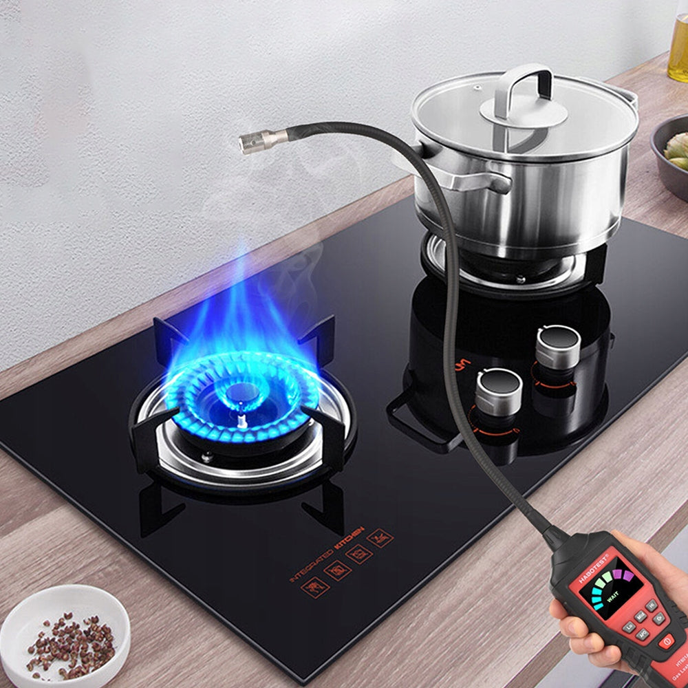 PROFESSIONAL COMBUSTIBLE GAS DETECTOR PORTABLE COMBUSTIBLE GAS LEAK DETECTOR Kind gas detector