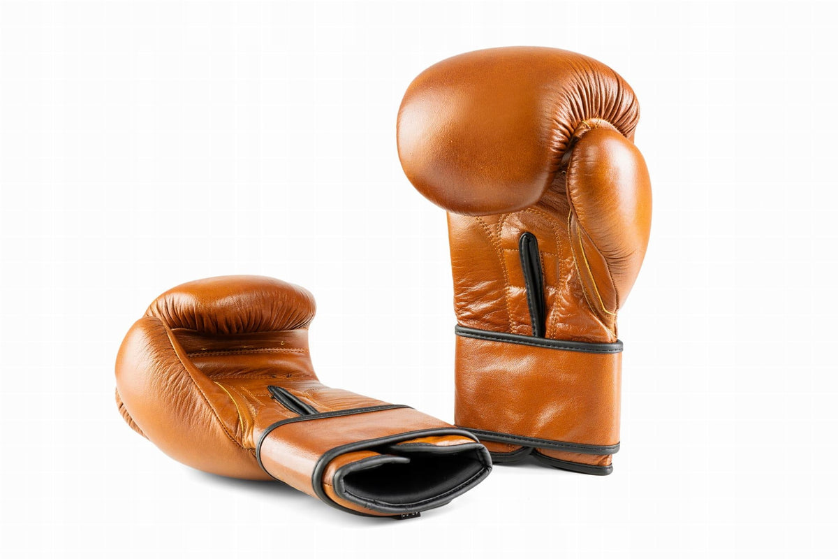 PROFESSIONAL GENUINE LEATHER BOXING GLOVES EVOLUTION RETRO 12 OZ
