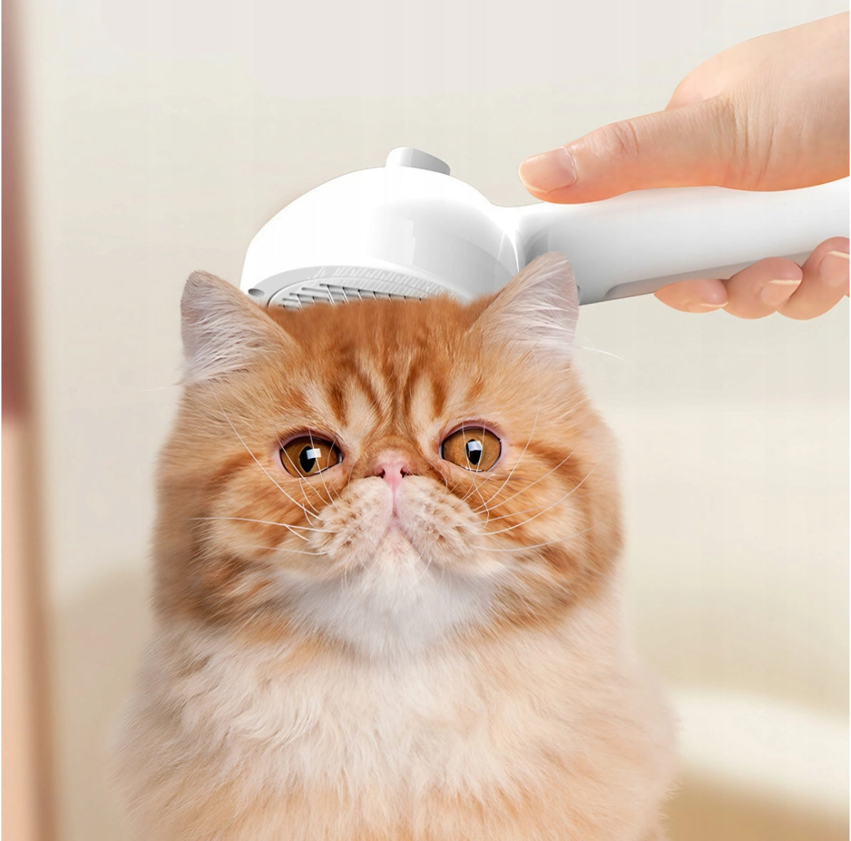 PROFESSIONAL STEAM BRUSH FOR PET CAT DOG - LATEST MODEL 2026 Packaging status original