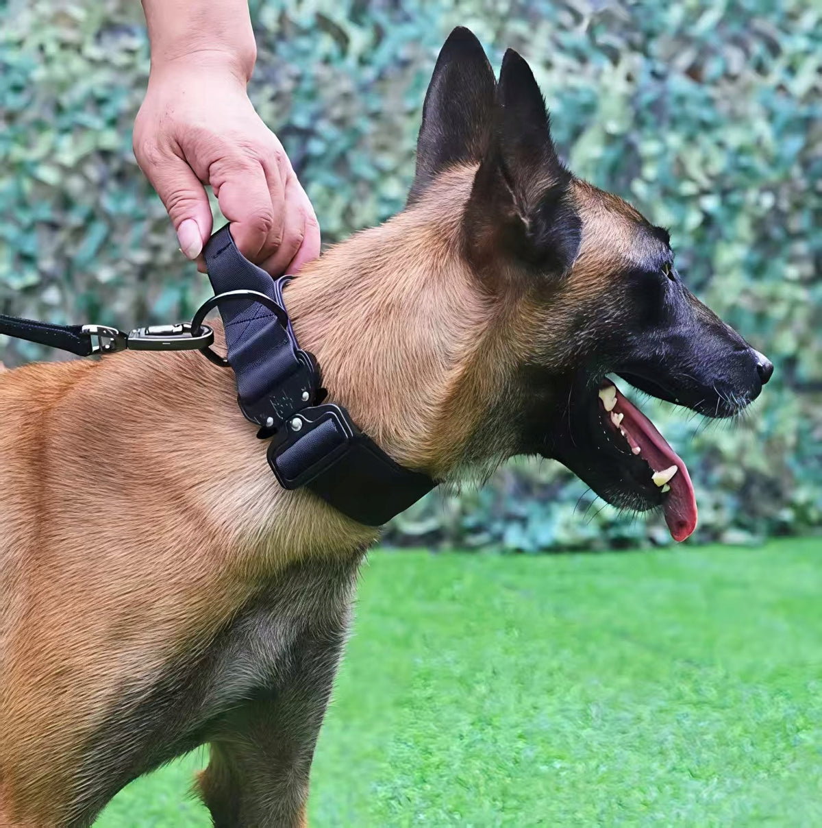 PROFESSIONAL TACTICAL COLLAR FOR BIG DOG XL Brand no brand