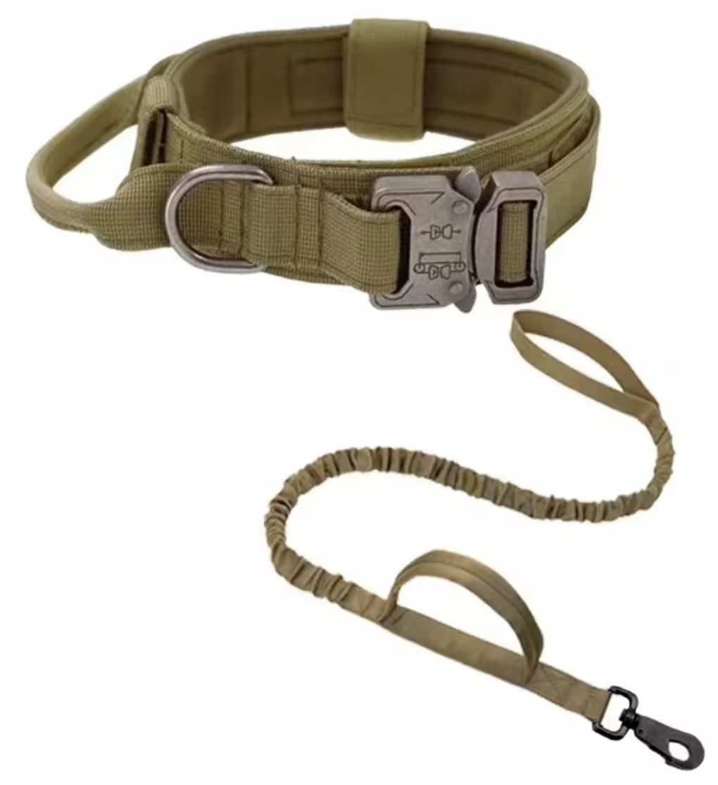 PROFESSIONAL TACTICAL DOG COLLAR METAL BUCKLE STRONG LEASH 34-44 CM M EAN (GTIN) 5903794442160