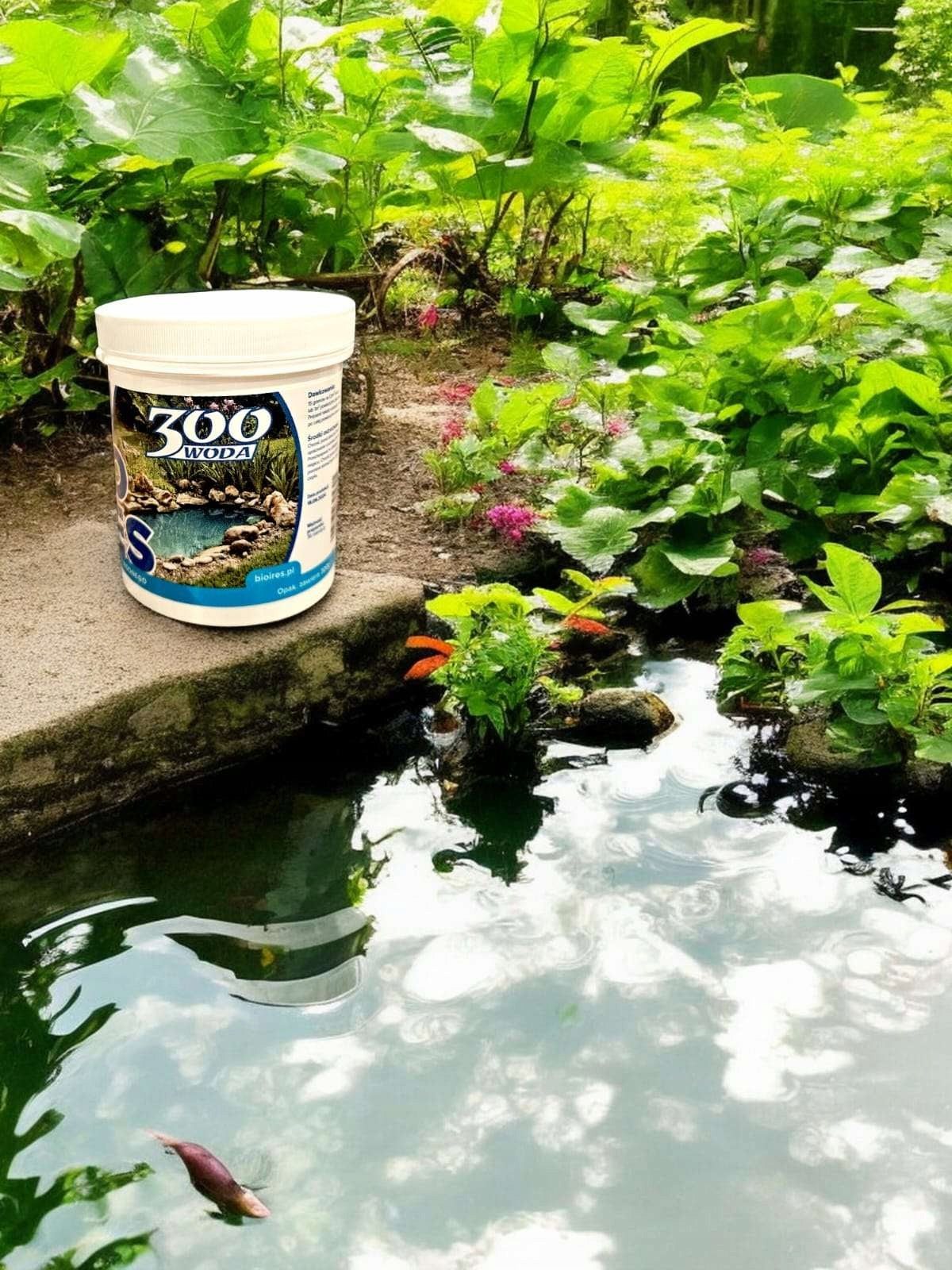 PURE WATER BACTERIA OF PONDS FOR ALGAE BOTTOM SEDIMENTS MUD CLARITY 900g Form powder